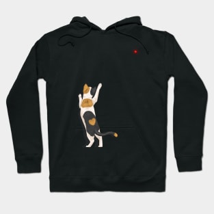 Get the Red Dot! Hoodie